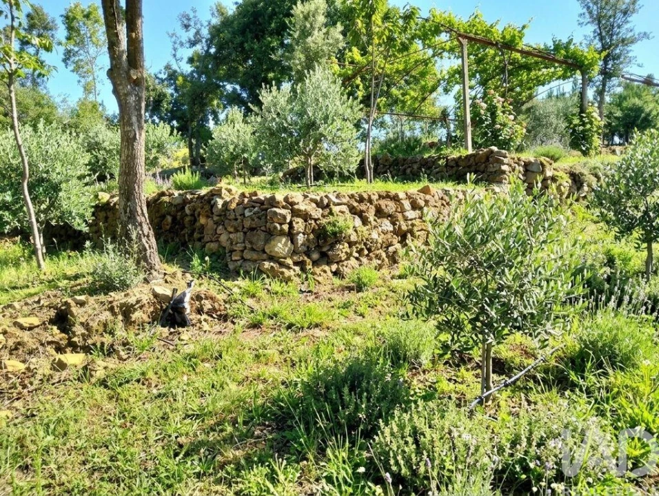 Quinta para Venda em Graça Foto 15