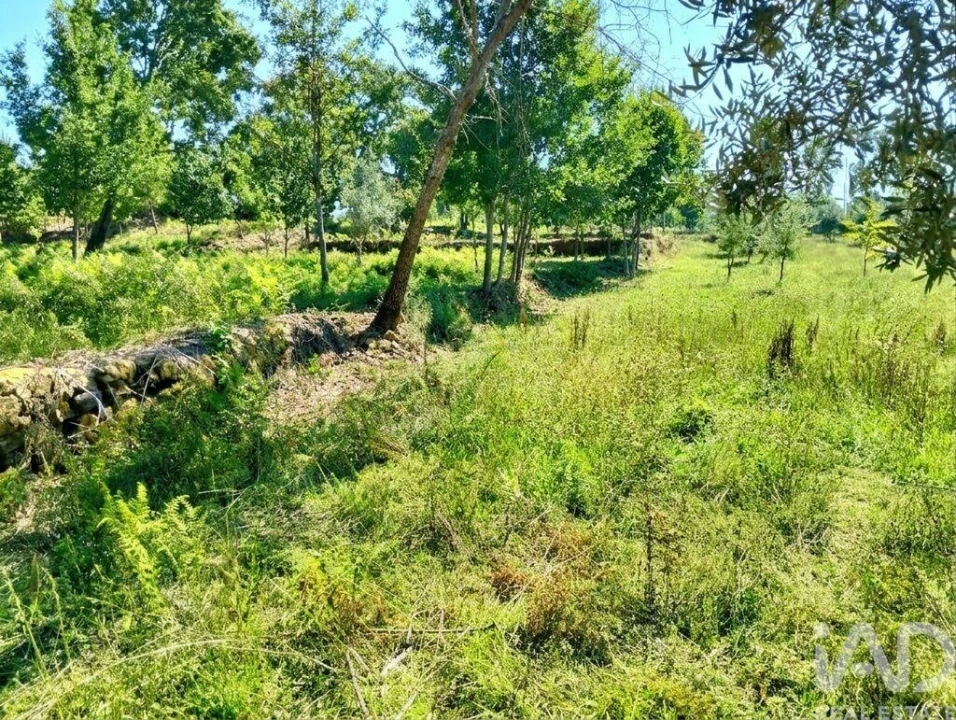 Quinta para Venda em Graça Foto 17