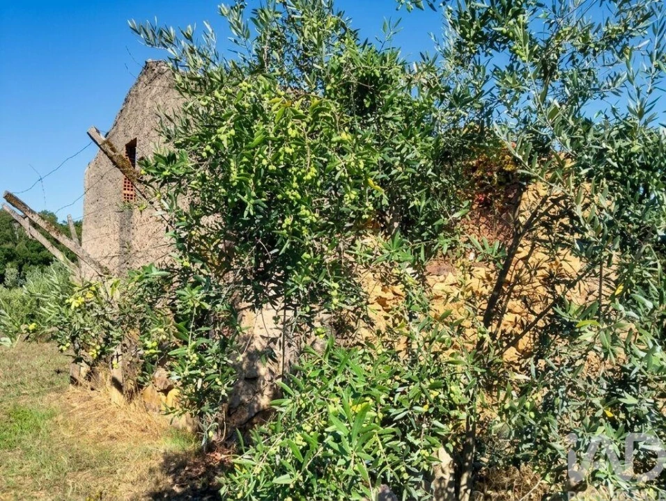 Quinta para Venda em Graça Foto 9