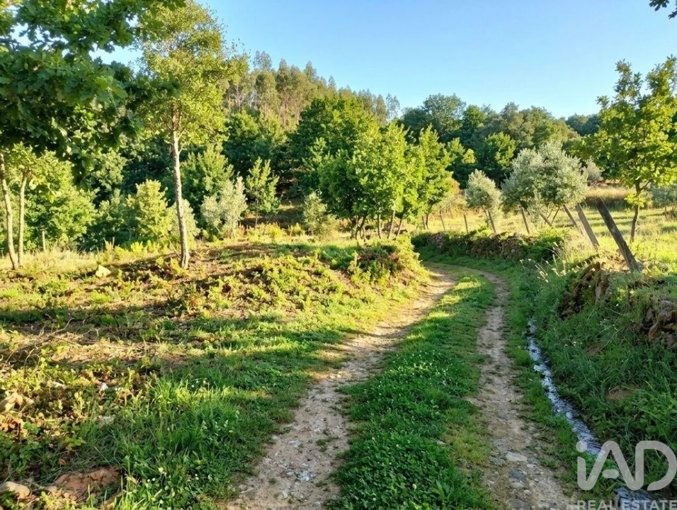 Quinta para Venda em Graça Foto 28