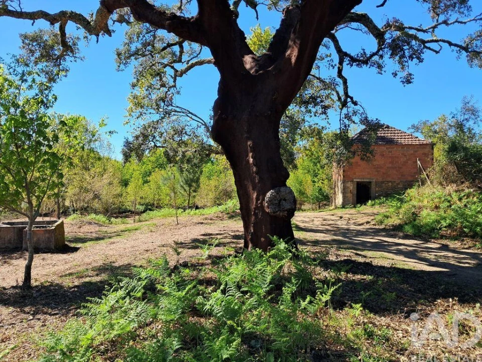 Quinta para Venda em Graça Foto 28