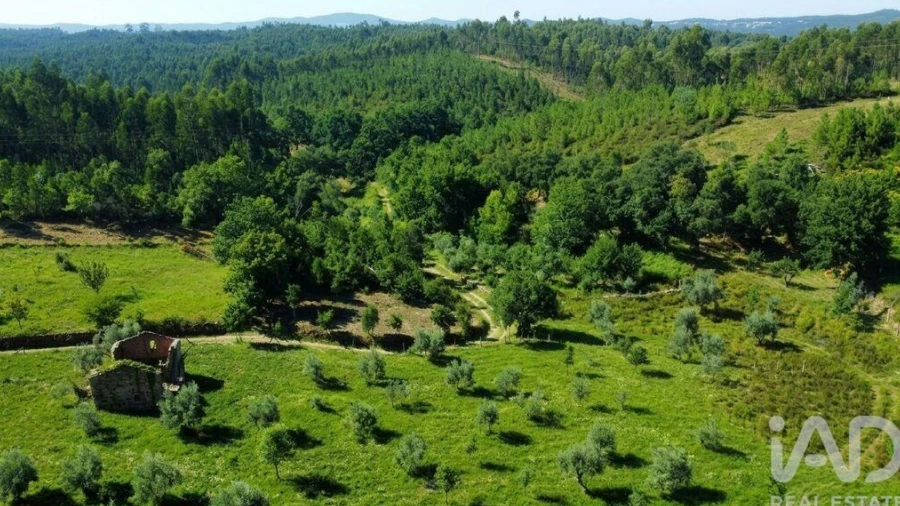 Quinta para Venda em Graça