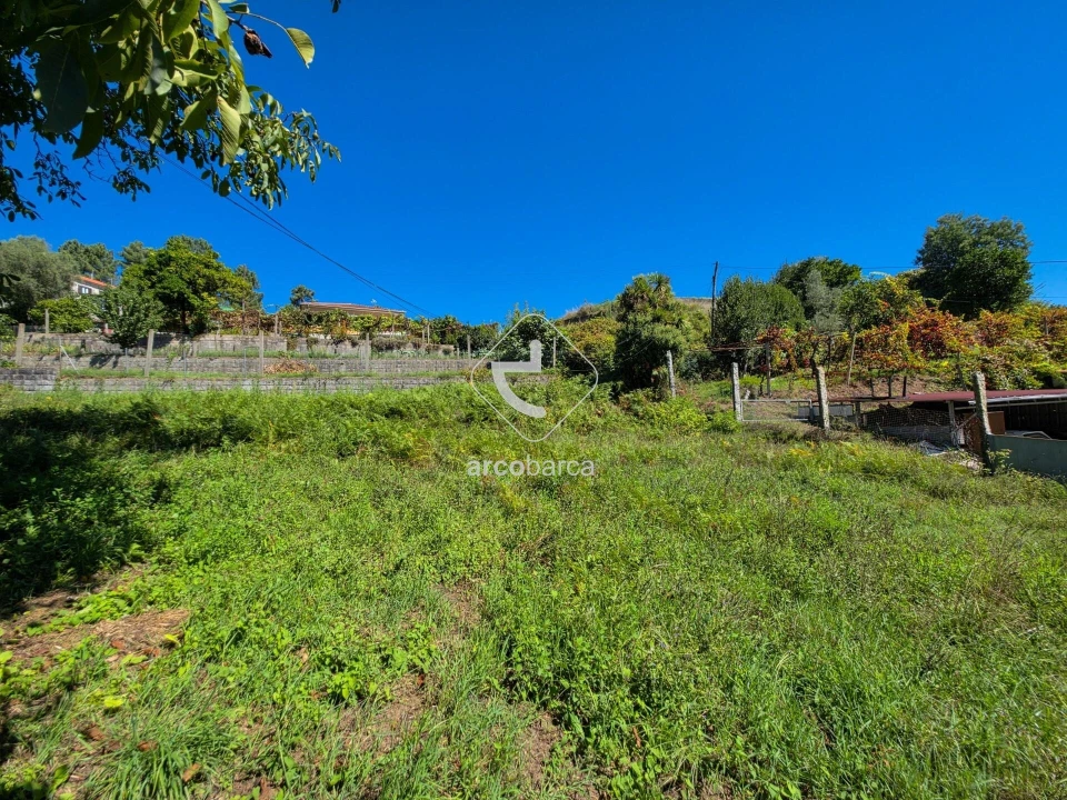 Terreno para Venda em Nogueira Foto 4