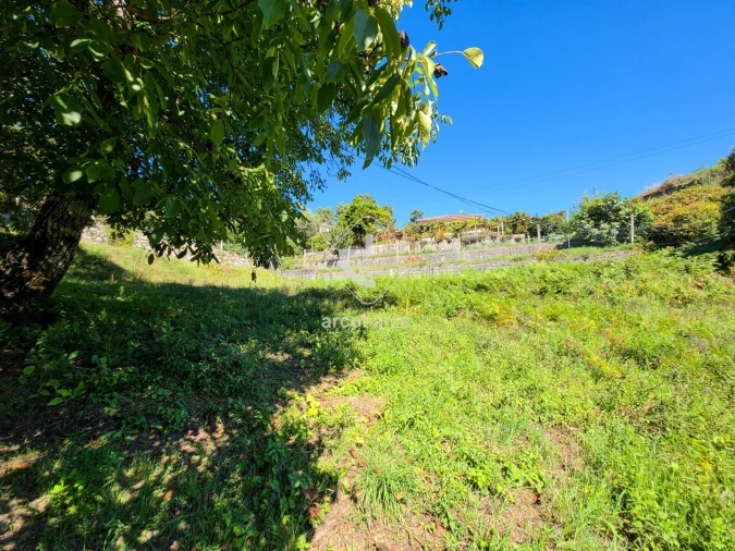 Terreno para Venda em Nogueira Foto 3