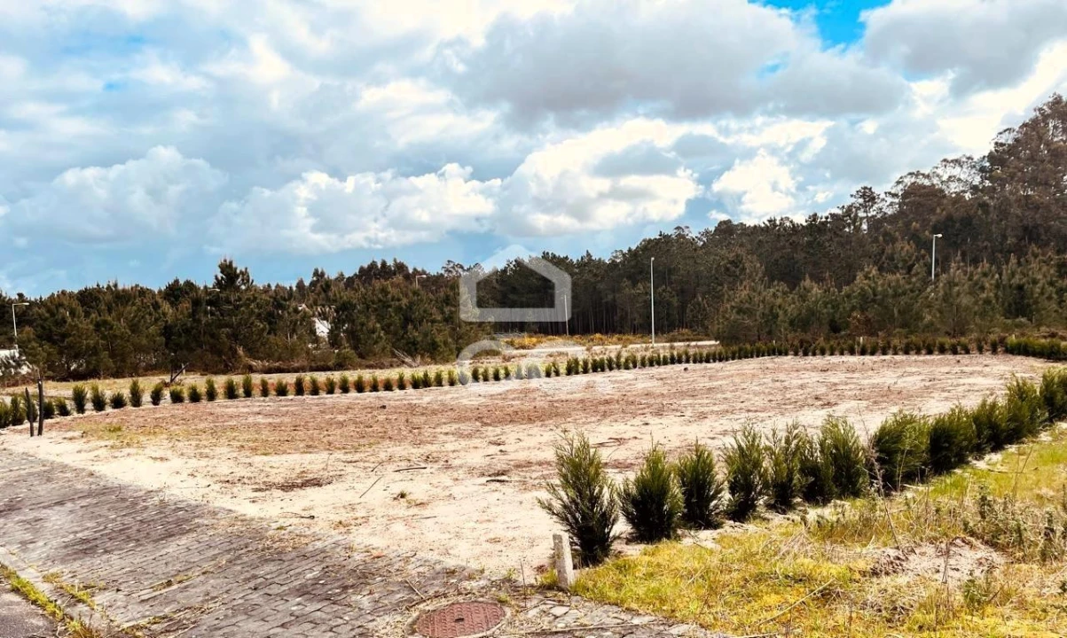 Terreno para Venda em Vieira de Leiria Foto 1