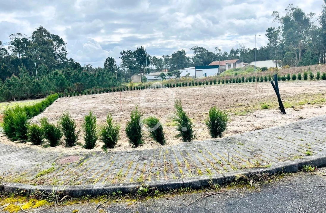 Terreno para Venda em Vieira de Leiria Foto 3
