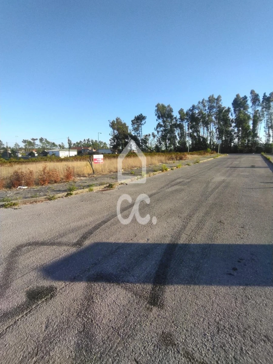 Terreno para Venda em Vieira de Leiria Foto 11