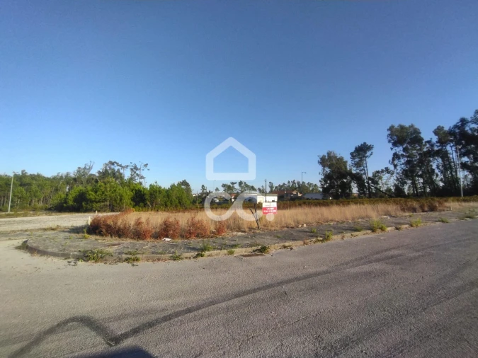 Terreno para Venda em Vieira de Leiria Foto 9