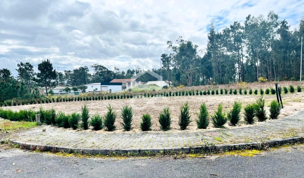 Terreno para Venda em Vieira de Leiria Foto 2