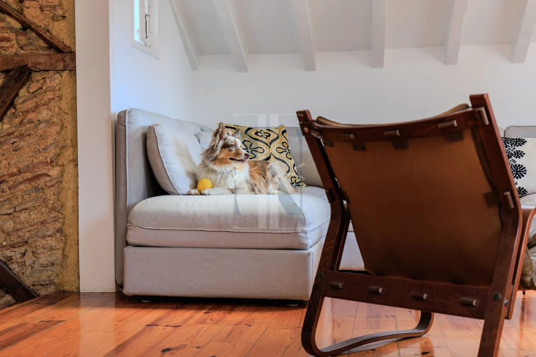 Apartamento T1 para Venda em Estrela Foto 9