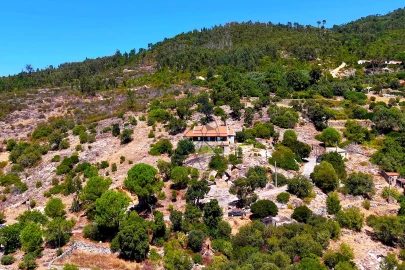 Quinta T3 para Venda em Monchique