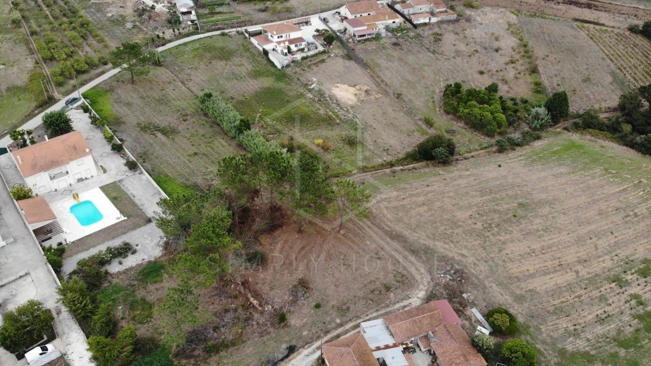 Terreno para Venda em Cela Foto 17