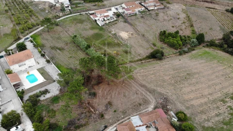 Terreno para Venda em Cela