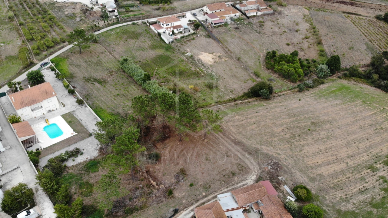Terreno para Venda em Cela Foto 16