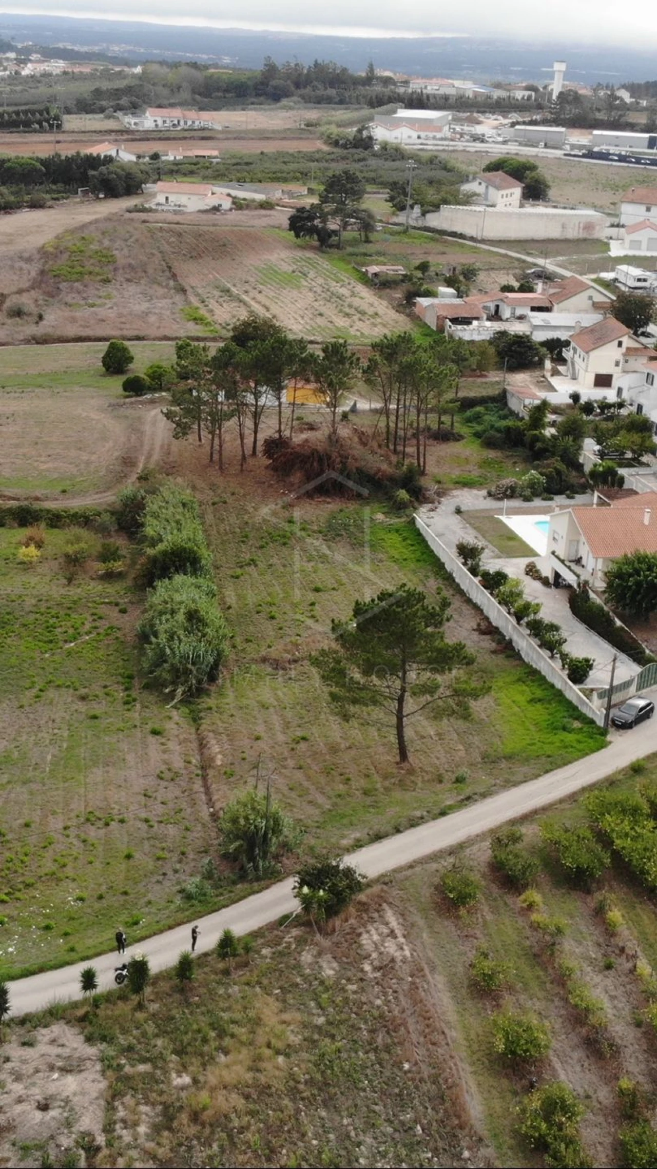 Terreno para Venda em Cela Foto 20