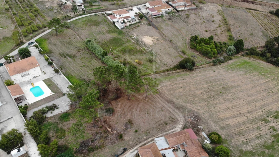 Terreno para Venda em Cela Foto 17