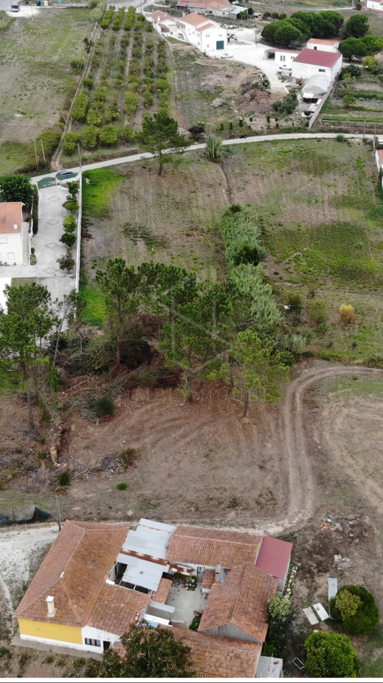 Terreno para Venda em Cela Foto 21