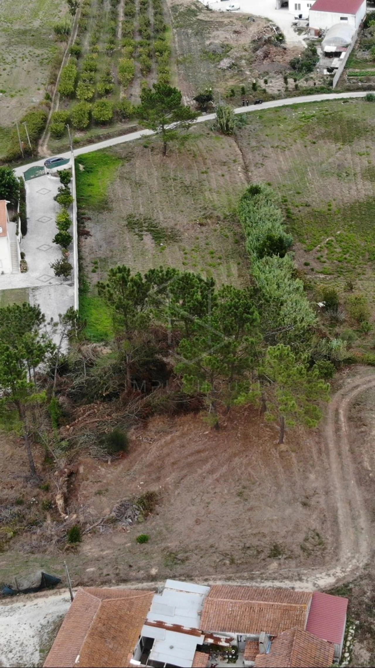 Terreno para Venda em Cela Foto 4