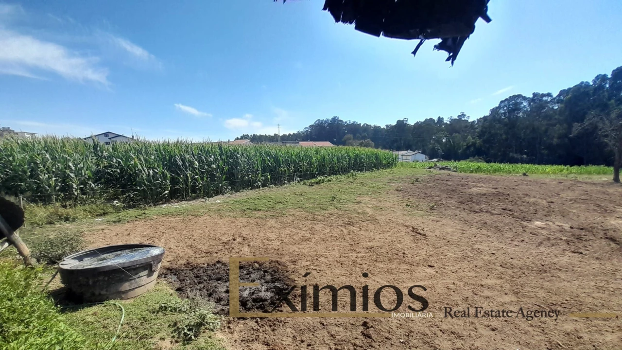 Quinta T4 para Venda em Castêlo da Maia Foto 35