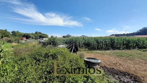 Quinta T4 para Venda em Castêlo da Maia