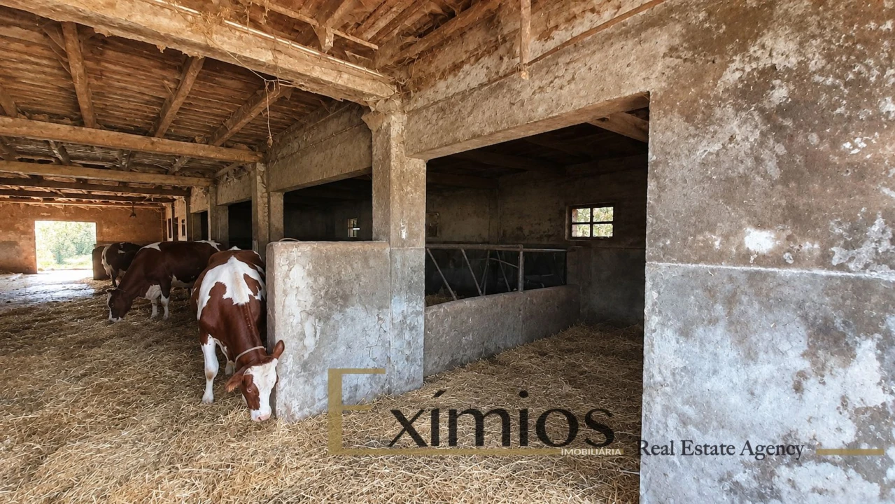 Quinta T4 para Venda em Castêlo da Maia Foto 26