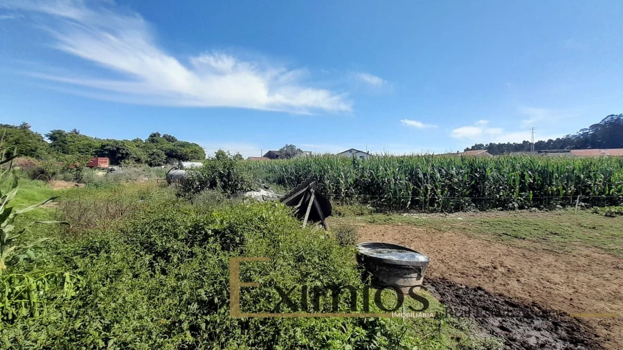 Quinta T4 para Venda em Castêlo da Maia Foto 34
