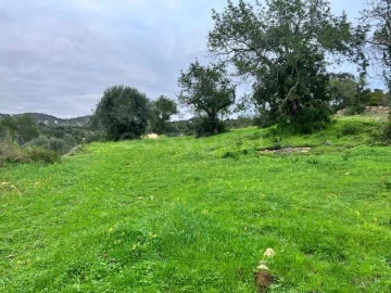 Terreno Agricola ou Rústico para Venda em Santa Barbara de Nexe