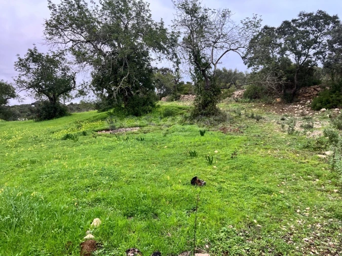 Terreno Agricola ou Rústico para Venda em Santa Barbara de Nexe Foto 3