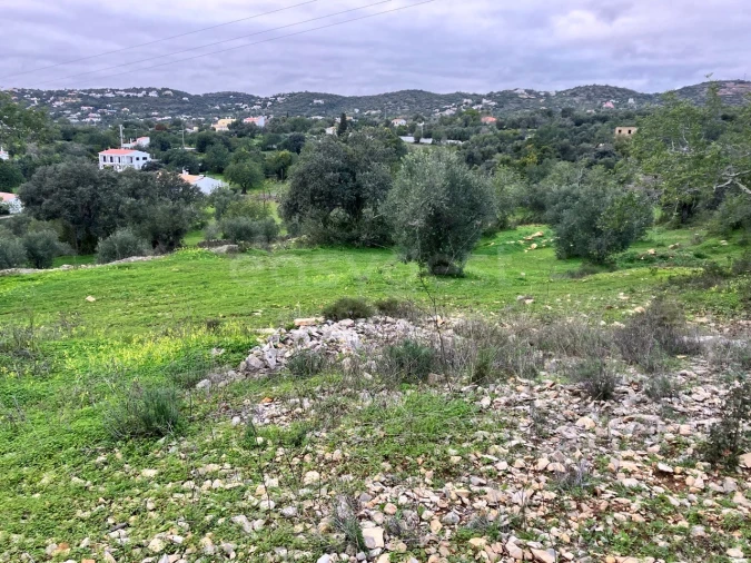Terreno Agricola ou Rústico para Venda em Santa Barbara de Nexe Foto 6
