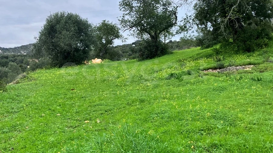 Terreno Agricola ou Rústico para Venda em Santa Barbara de Nexe