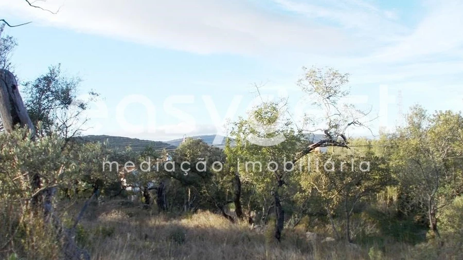 Terreno Agricola ou Rústico para Venda em São Brás de Alportel