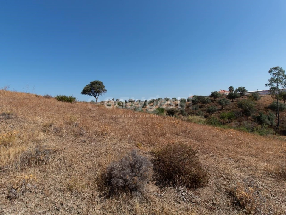 Terreno Agricola ou Rústico para Venda em Castro Marim Foto 1