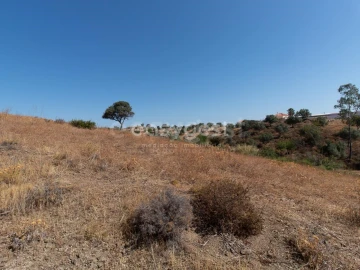 Terreno Agricola ou Rústico para Venda em Castro Marim