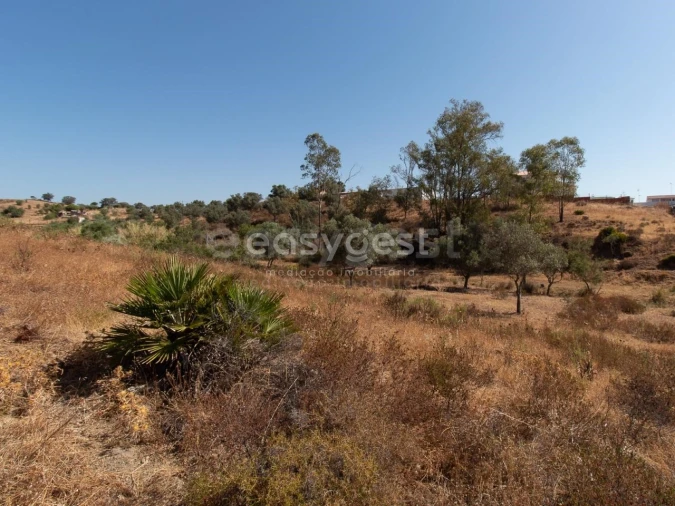 Terreno Agricola ou Rústico para Venda em Castro Marim Foto 10