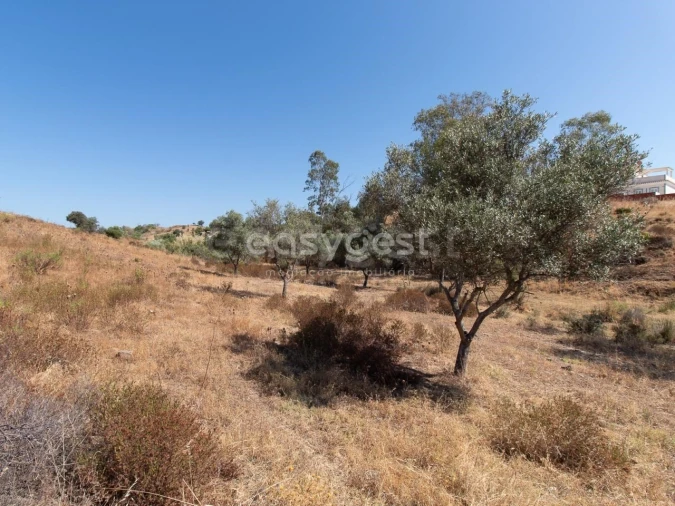 Terreno Agricola ou Rústico para Venda em Castro Marim Foto 24