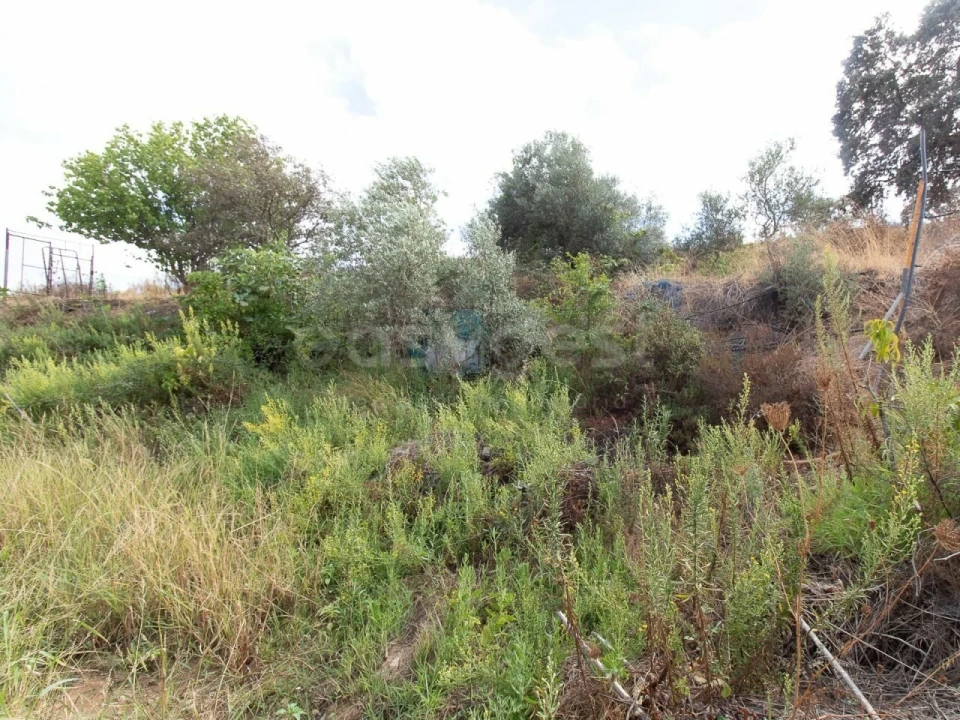 Terreno Agricola ou Rústico para Venda em Castro Marim Foto 22