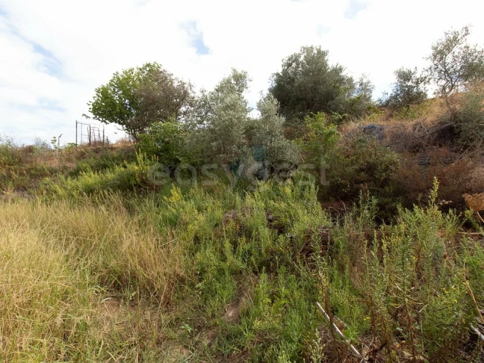Terreno Agricola ou Rústico para Venda em Castro Marim Foto 23