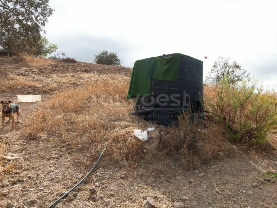Terreno Agricola ou Rústico para Venda em Castro Marim Foto 27