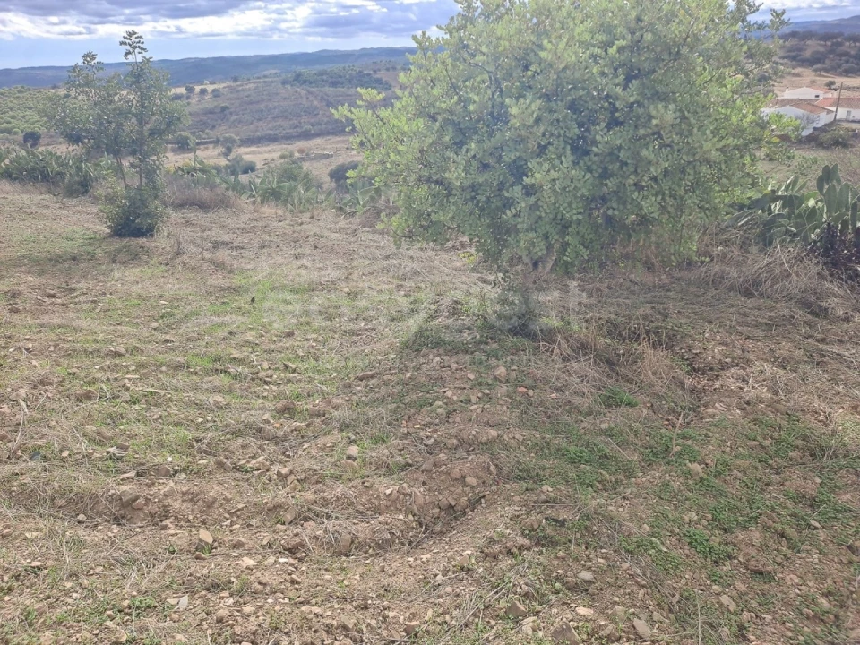 Quinta T4 para Venda em Martim Longo Foto 20