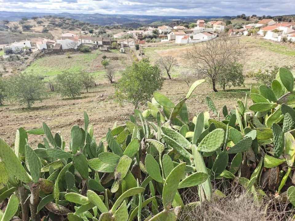 Quinta T4 para Venda em Martim Longo Foto 1