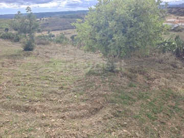 Quinta T4 para Venda em Martim Longo