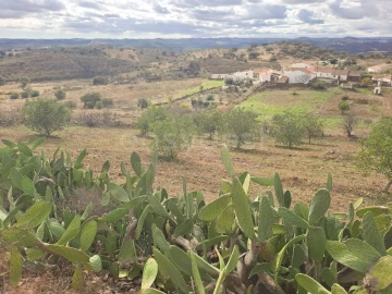 Quinta T4 para Venda em Martim Longo