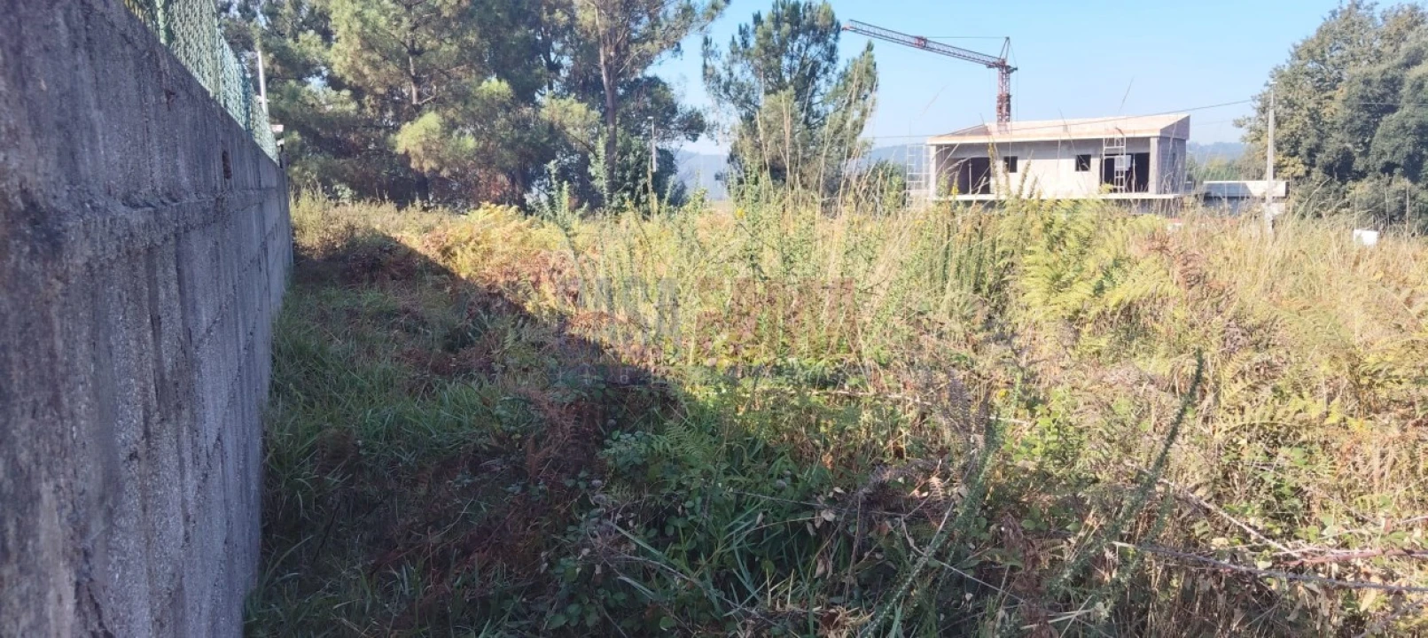 Terreno para Venda em Fradelos Foto 8