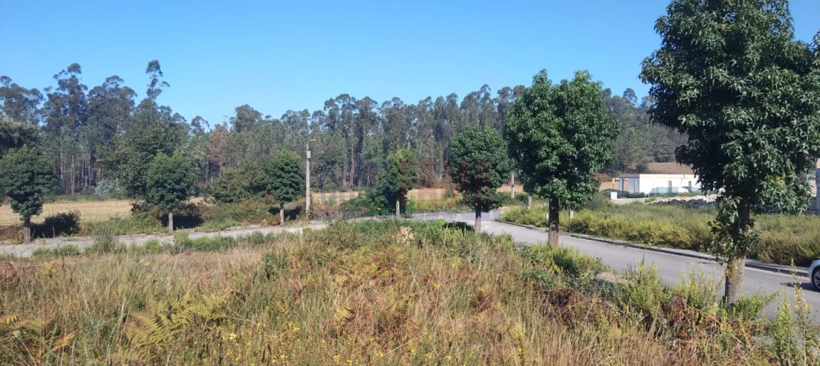 Terreno para Venda em Fradelos Foto 11