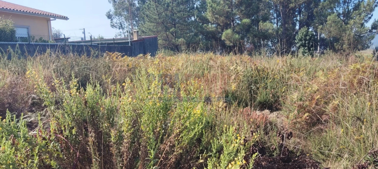 Terreno para Venda em Fradelos Foto 12