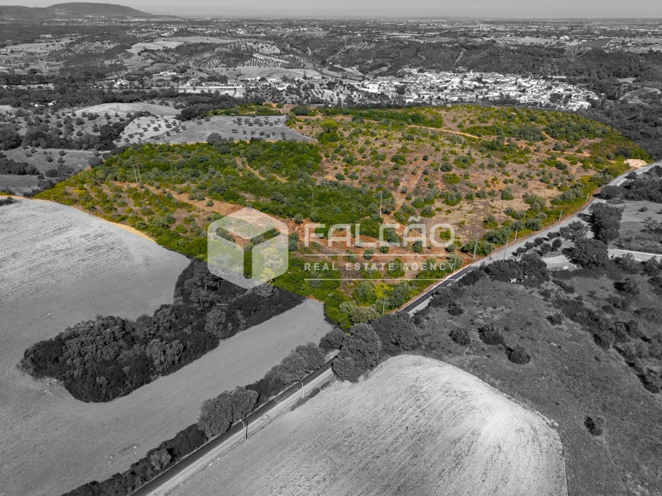 Terreno para Venda em Azoia de Cima e Tremês Foto 7