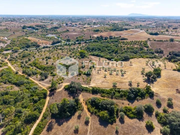 Terreno para Venda em Azoia de Cima e Tremês