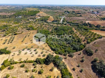 Terreno para Venda em Azoia de Cima e Tremês