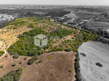 Terreno para Venda em Azoia de Cima e Tremês