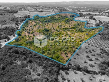 Terreno para Venda em Azoia de Cima e Tremês